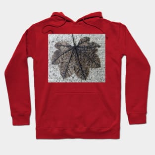 Fall Leaf Imprint Hoodie